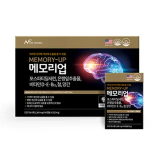 메모리업